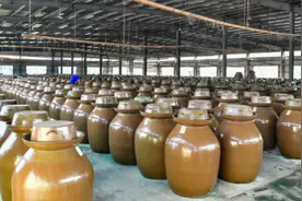 亲，除了东坡泡菜，你家乡还有啥好吃的?图片