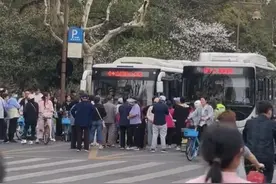 游客成队在杭州雷峰塔外堵路拦公交，当地正实施交通管制，公交集团：已处置图片