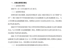 嘉必优发布业绩预增公告：预计2024年上半年净利润为6100万元至7300万元，同比增加75.05%到109.49%图片