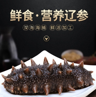 辽宁海参最好的多少钱一斤 2026年辽宁干海参多少钱一斤
