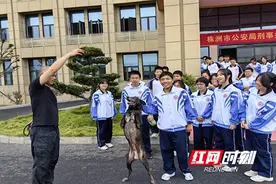 株洲市九方中学家长讲堂：与警犬的一次亲密接触图片