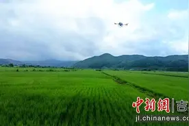 安图：小小无人机 “慧”农更惠农图片