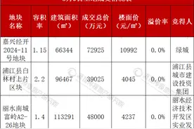 绿城底价竞得嘉兴低密宅地 地方国企包揽金华丽水地块图片