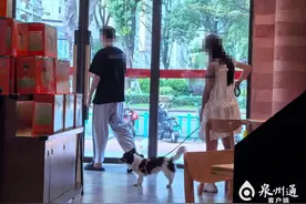 年轻人 莫把宠物当精神依赖图片