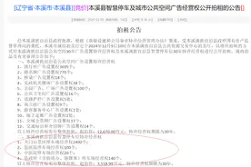 30年1.32万元起 辽宁本溪公开拍租智慧停车位经营权 拍卖行：正在研究协议细则图片