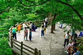 黄山风景区迎来暑期旅游高峰图片