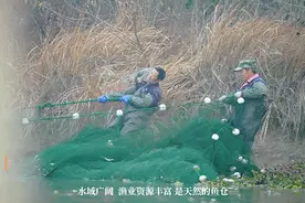 一年卖10万斤！杭州老板连夜打包，发往全国！“都在等这口美味……”图片