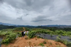 农行黔东南分行贷款投放创历年新高图片