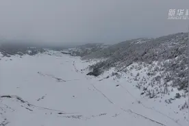 重庆巫溪：瞰秦巴山间“林海雪原”图片