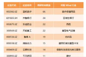 月内40只鲁股迎机构调研：蓝帆医疗受青睐 新北洋预期走高图片