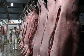 生鲜猪肉“闯关记”图片
