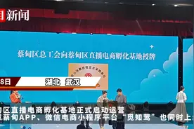 首批千余种产品上架，武汉蔡甸区直播电商孵化基地启动运营图片