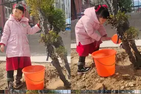 潍坊潍城区芙蓉小学绿意萌动，童梦植趣图片