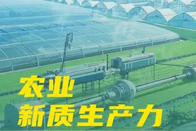 划重点！解码2025年中央一号文件中的这些“新词”图片