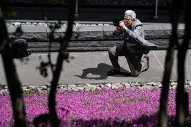 （外代一线）东京花海图片