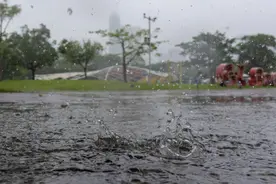 广州52天里只有7天没下雨，总算快熬到降雨间歇期了图片