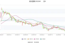 紫光国微：2024年上半年净利润7.38亿元 同比下降47.04%图片