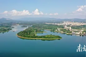 从博罗“链”向粤港澳！一条鱼的大湾区供应之旅图片
