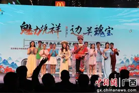 凭祥举办文旅商贸嘉年华 推介“跨国门·进东盟”新春旅游品牌图片