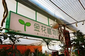 让生活有呼吸感！快来打卡这家藏在市场里的“植物园”→图片