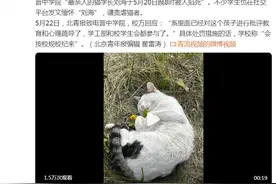 高校回应网红猫被学生掐死：已对虐猫学生批评教育和心理疏导图片