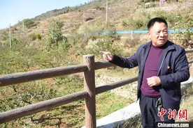 （人权行动看中国）河南许昌“山沟沟”逆袭：荒沟变绿沟，穷沟变富沟图片