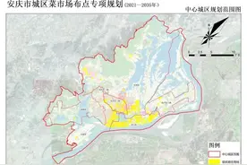 最新公布！安庆市城区菜市场布点专项规划图片