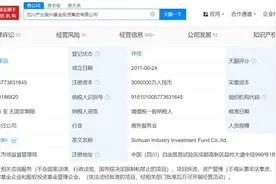 四川振兴集团增资至300亿图片