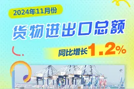 （图表·海报）数说中国·11月份经济数据丨2024年11月份货物进出口总额同比增长1.2%图片