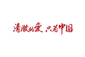 清澈的爱 只为中国 | 烈士纪念日，南京50对新婚夫妇向革命烈士献花图片