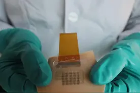 我国科学家研制出首款具仿生三维架构的电子皮肤图片