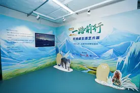 “一路前行”艺术展的启示：向往山海，关注环保图片