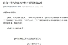 国道350道路抢通 卧龙神树坪基地今日继续闭园图片