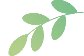 上海市教委再发文件，3月15日起施行，事关2025中考图片