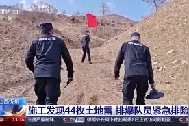 施工发现44枚土地雷 排爆队员紧急排险图片