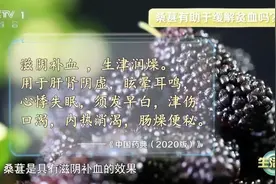 降血压、控血糖……春天吃它，让你气血足、睡得好、不显老→图片