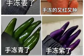 东北局地特大暴雪已破纪录！积雪厚达43厘米！图片