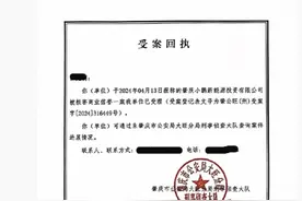 组织“水军”黑理想MEGA，警方调查！小鹏汽车回应图片
