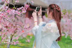 桃花树下做瑜伽，百名爱好者共赏吕巷十里桃花“春光美”图片