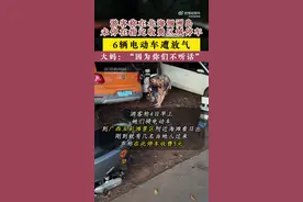 涠洲岛通报“游客称停车被村民放气”:停承包地，已批评双方图片