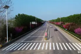 一路花开图片