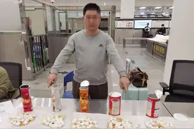 超千枚蛋、案值达700万！深圳破获一起走私濒危鹦鹉蛋大案图片