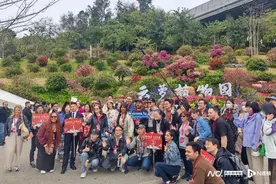 文化中国行|17国70余名国际友人游广州，入境游热度飙升图片