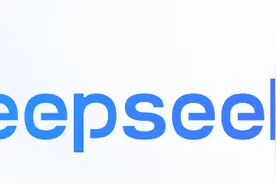 DeepSeek光芒盖过“六小龙”，大模型的天平往哪里倾斜了？图片