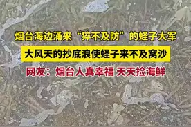 烟台海边涌来“猝不及防”的蛏子大军，大风天的抄底浪使蛏子来不及窝沙，网友：烟台人真幸福，天天捡海鲜图片