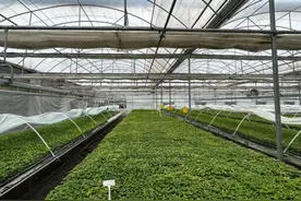 成都理工大学智光赋能社会实践团队深入四川德维蓝地农业科技有限公司 实地测试长余辉LED智能植物补光灯效能图片