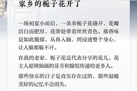 夜读丨家乡的栀子花开了图片
