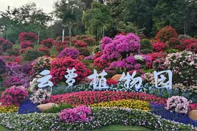 广州云萝植物园明天开园！攻略来了→图片