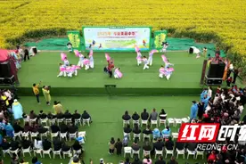 2025年“寻找美丽中华”全国乡村定向系列赛事活动（湖南桃江站）暨石牛江镇油菜花节燃情开幕图片