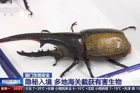 @铲屎官们，养“异宠”也可能危害国家安全，这些行为违法了图片
